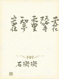 宋知禾陆子轩我在梦里等花开