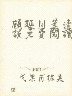 顾延川叶清雪小说免费阅读最新章节