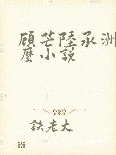 顾芒陆承洲是什么小说