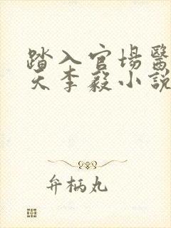 踏入官场医道问天李毅小说阅读