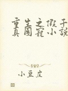 重生之假千金是真团宠小说