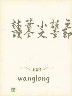 林萧小说免费阅读全文章节