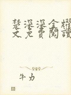 楚深深金耀霆全文免费阅读