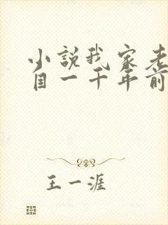 小说我家老婆来自一千年前最新章节封面