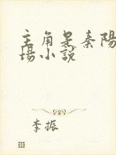 主角是秦阳的官场小说