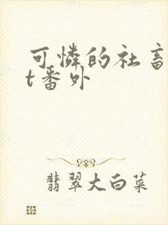 可怜的社畜txt番外