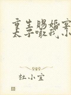 重生赐婚宴渣男太子喊我小皇婶短剧免费观看