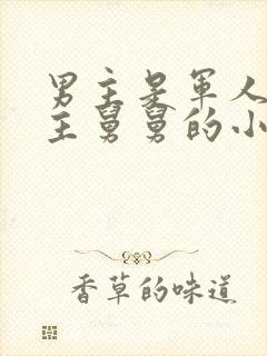 男主是军人是女主舅舅的小说