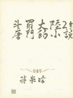 斗罗大陆2绝世唐门的小说