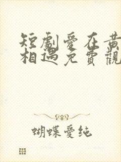 短剧爱在黄昏前相遇免费观看封面