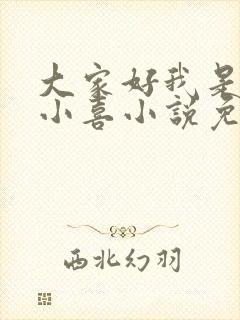 大家好我是叫林小喜小说免费阅读