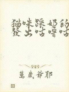 猫咪踩奶的时候发出咕噜咕噜的声音封面