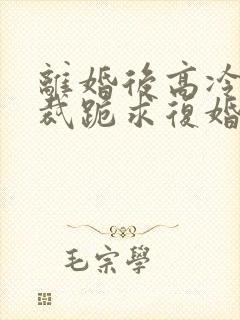 离婚后高冷女总裁跪求复婚