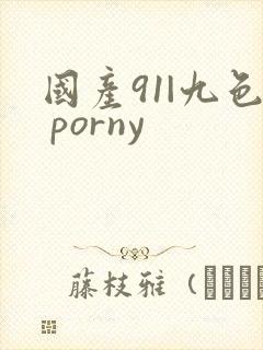 国产91|九色 porny