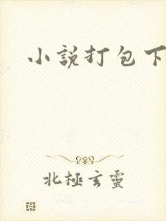 小说打包下载