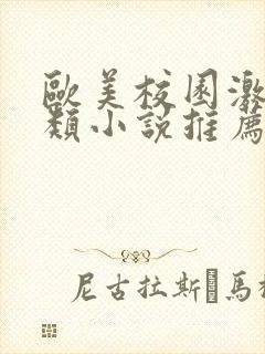 欧美校园激情另类小说推荐