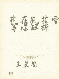 我在风花雪月里等你解析