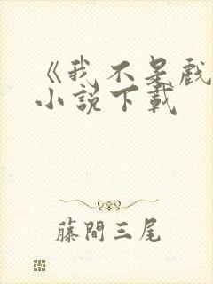 《我不是戏神》小说下载