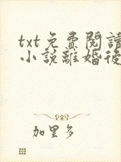 txt免费阅读小说离婚后前夫总是想追我