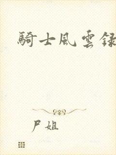 骑士风云录封面