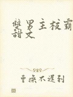 双男主校霸校园甜文