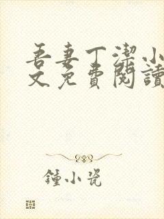 吾妻丁洁小说全文免费阅读最新章节