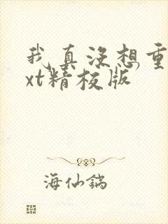 我真没想重生txt精校版