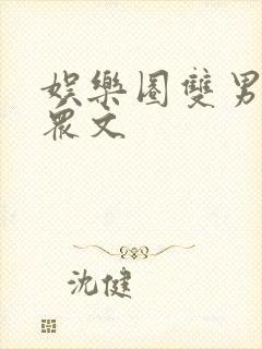 娱乐圈双男主小众文