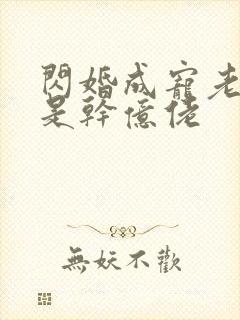 闪婚成宠老公竟是干亿佬