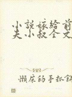 小说嫁给前未婚夫小叔全文阅读封面