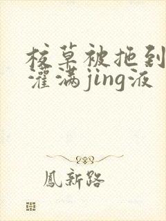 校草被拖到公厕灌满jing液封面