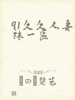 91久久人妻丝袜一区