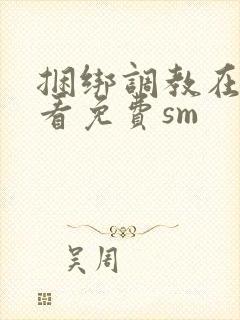 捆绑调教在线观看免费sm