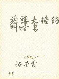 慈禧太后的丈夫叫啥名