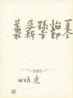 叶辰孙怡夏若雪最新章节全文