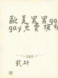 欧美男男gaygay免费视频