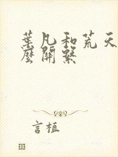 叶凡和荒天帝什么关系封面