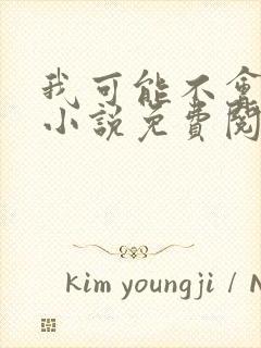 我可能不会爱你小说免费阅读