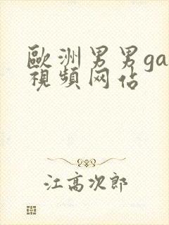 欧洲男男gay视频网站