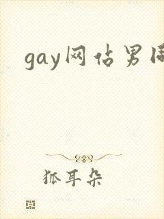 gay网站男同