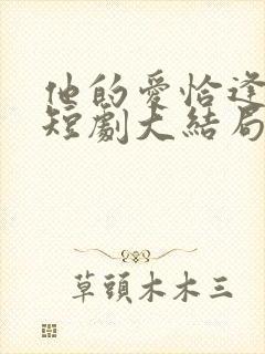 他的爱恰逢其时短剧大结局