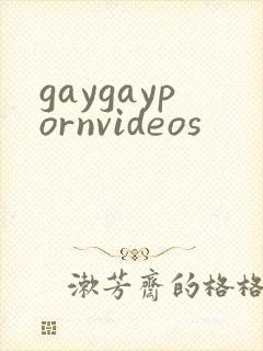 gaygaypornvideos封面