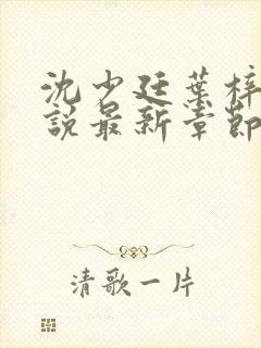 沈少廷叶梓晴小说最新章节