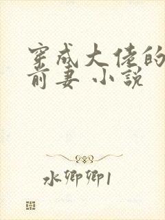 穿成大佬的私奔前妻 小说封面