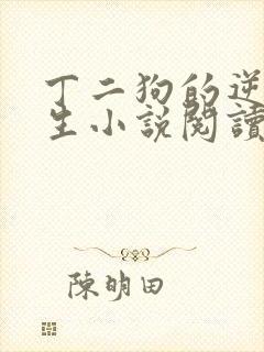 丁二狗的逆袭人生小说阅读