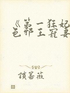 《第一狂妃:绝色邪王宠妻无度》