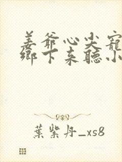 姜爷心尖宠她从乡下来听小说封面