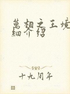 万相之王境界详细介绍