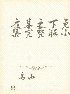 夜幕之下免费全集完整版小说在线阅读