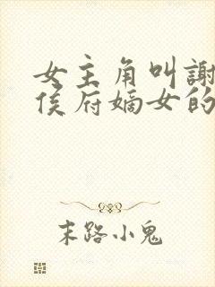 女主角叫谢清宁侯府嫡女的小说